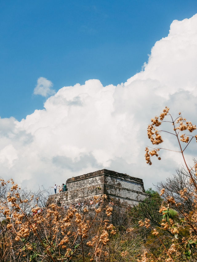 UFOが見られる街？テポストラン🛸⛰️🇲🇽