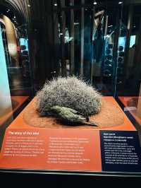 WA Museum Boola Bardip