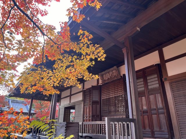 The Everlasting Light of Wisdom in Nirvana — The Jojakko-ji Temple in Arashiyama 