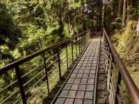 走讀一代林業的風華歷史～太平山蹦蹦車鐵道