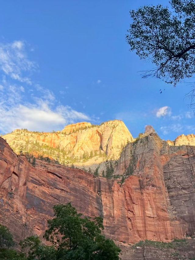 A Journey Through Stone and Sky – My Outdoor Adventure in Zion National Park 