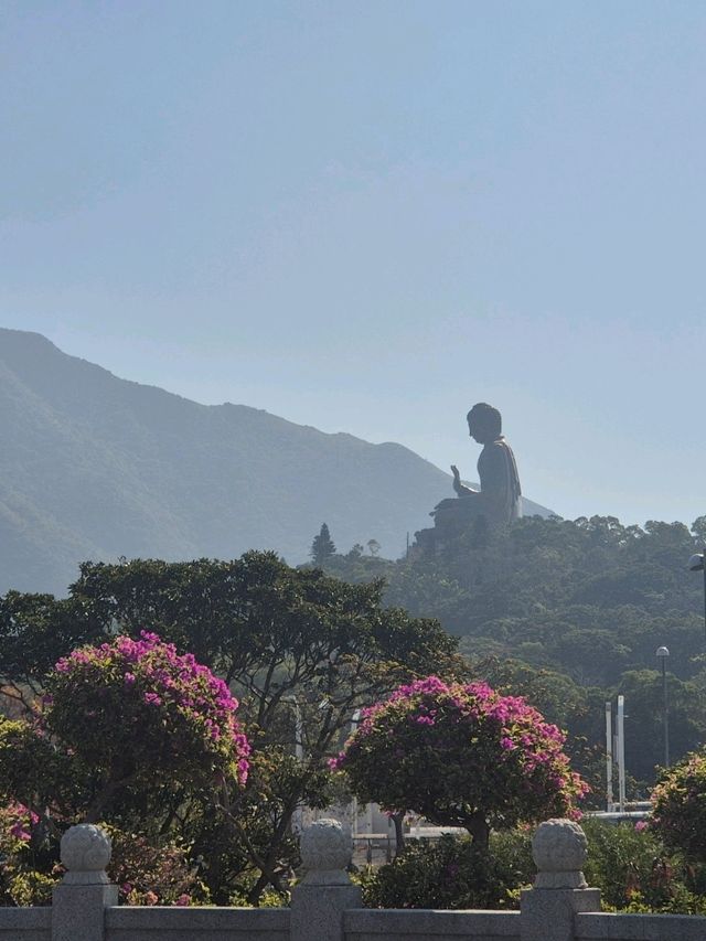 직장인의 마카오 홍콩 2박3일 가성비여행