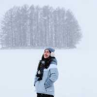 A Day in Biei & Furano 🌨️❄️
