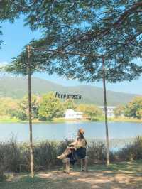 Fernpresso at lake คาเฟ่ vibe ดีย์ในเมืองเชียงใหม่
