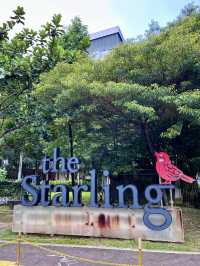 “Starling Mall: Where Shopping Meets Nature”