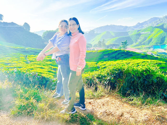 Cameron Valley Tea