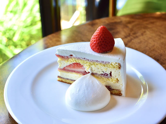 A Cozy Café Retreat in Izu – IRODORI🍰