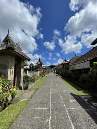 🇮🇩 Penglipuran Village 