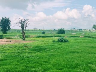  肯尼亞國家公園景點：肯尼亞東察沃國家公園景點，適合拍照打卡觀光旅遊，看野生動物！