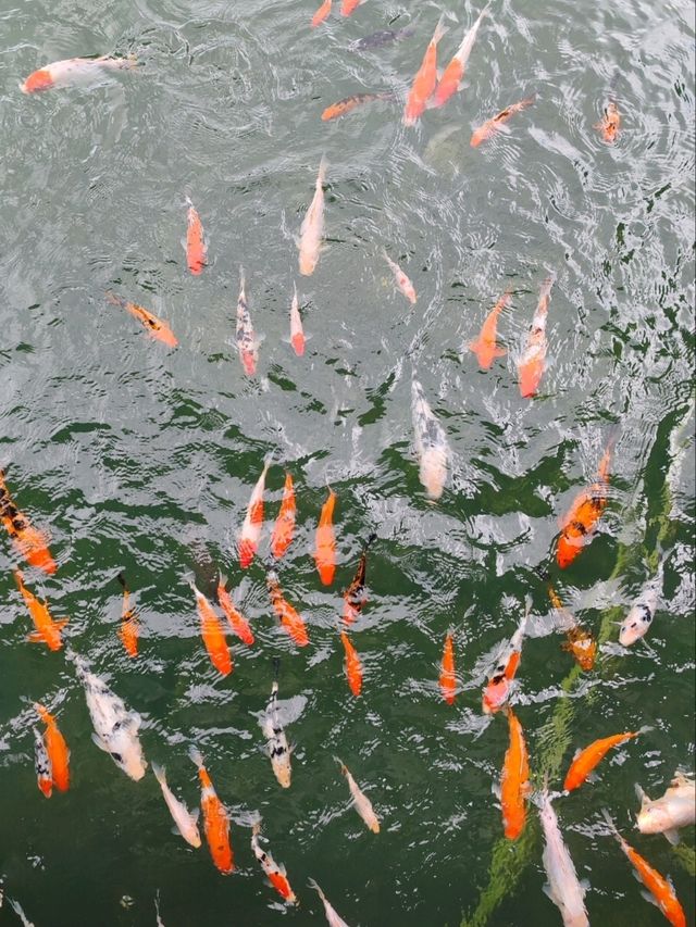 Kuching