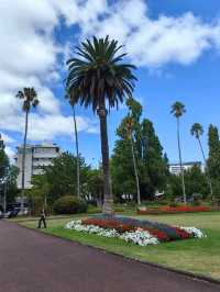 林木茂密古樹參天打卡的Albert Park