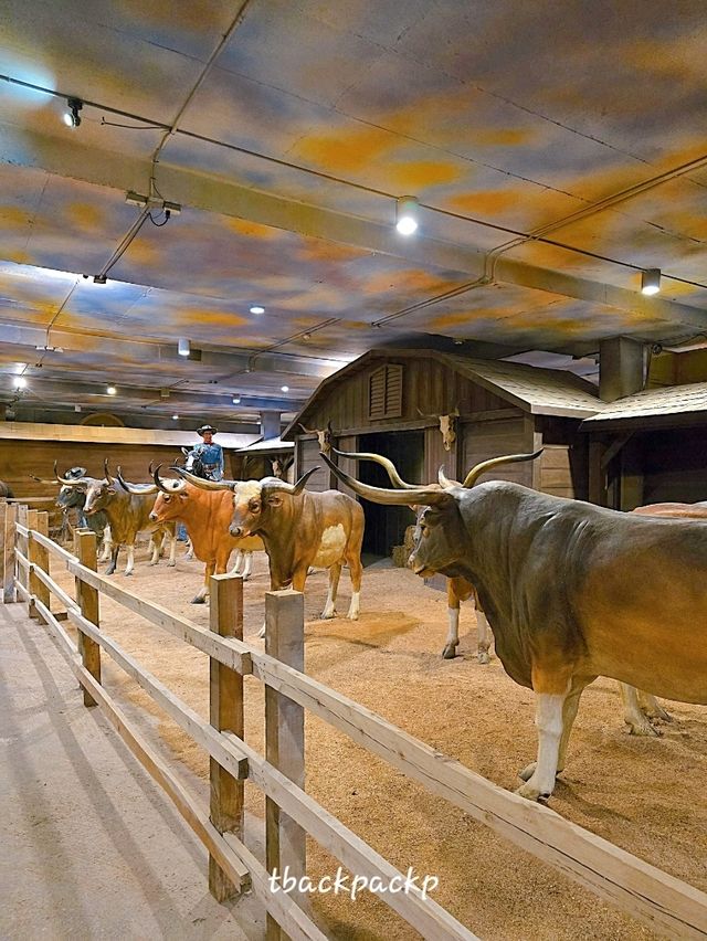 ขับรถตะลอนฟาร์ม กิจกรรมครอบครัวที่ฟาร์มโชคชัย🐮