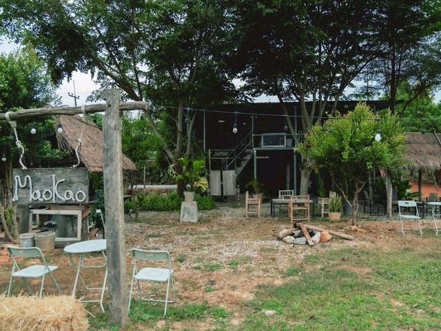 เมาเขา คอฟฟี่ เชียงราย  ⛰️