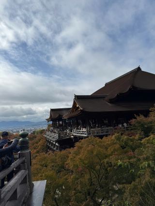 Kyoto – The Ancient City and Winter Festivals 