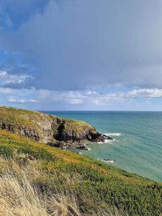 Sandy Cove