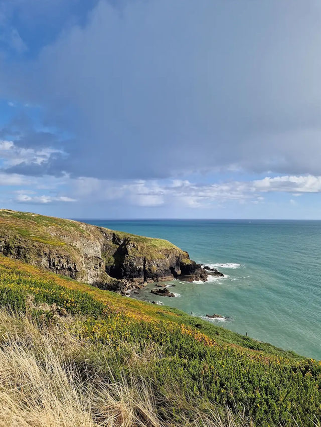 Sandy Cove
