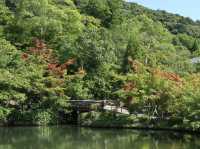 Eikando Temple: A Tranquil Stroll Through Kyoto’s Hidden Gem