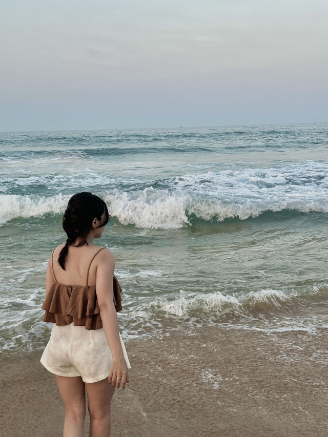 Phú Yên  - Hoa vàng trên cỏ xanh 🌼🪴