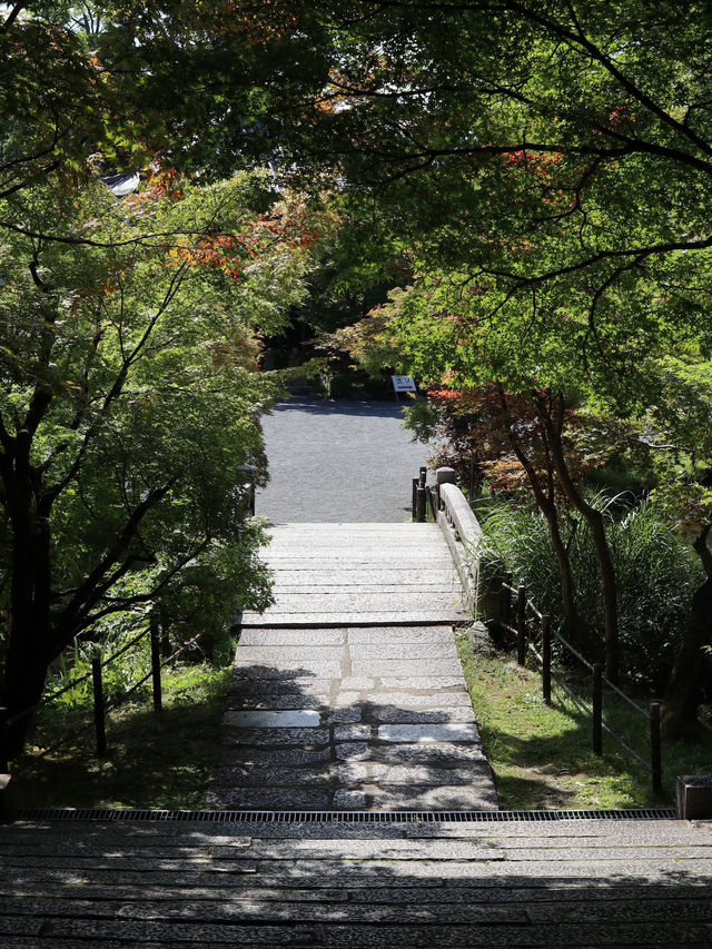 Eikando Temple: Kyoto’s Autumn Wonderland