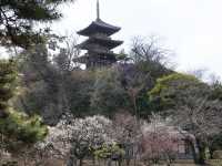 横浜観光飽きたらここ‼️ 【旧燈明寺三重塔】