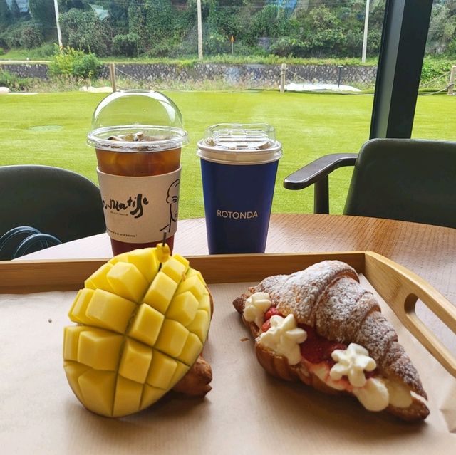 원주 정원이 큰 카페 로톤다