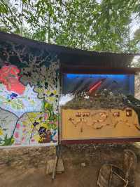 Cu Chi Tunnels