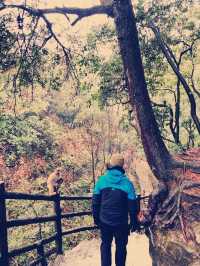  Zhangjiajie Adventure and beautiful Hot springs 