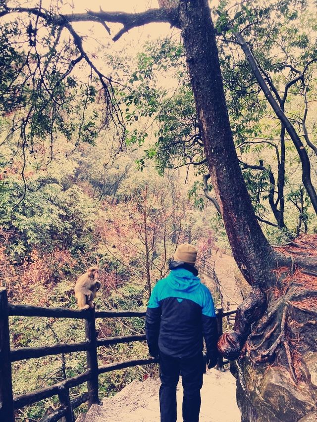  Zhangjiajie Adventure and beautiful Hot springs 