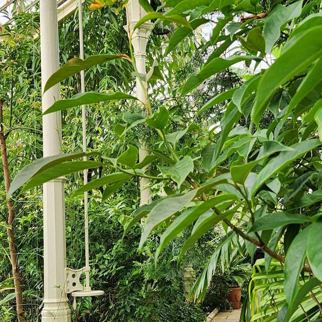 Royal Botanic Gardens, Kew (London)