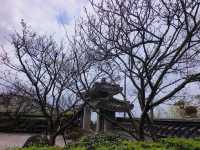 東方寺賞櫻美景
