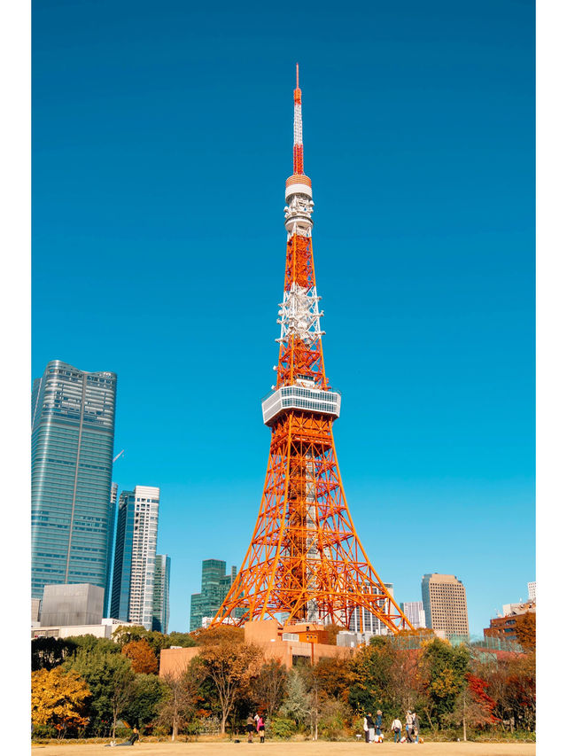 東京鐵塔🗼