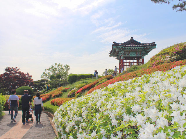 💛서울 근교 야외 나들이, 고양시 행주산성💛