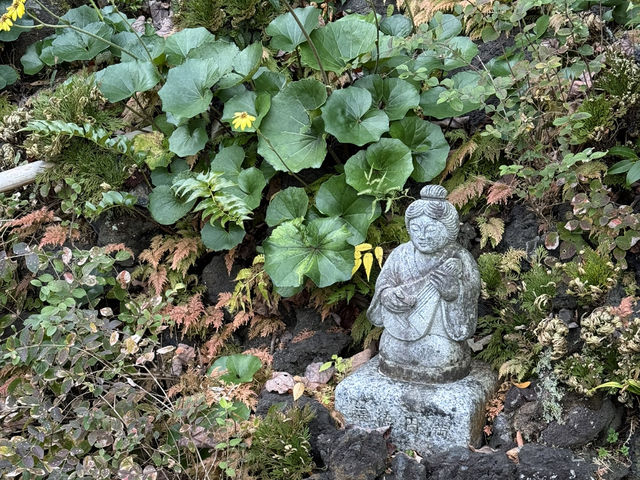 「花の寺」感受四季變遷的鎌倉長谷寺 #東京近郊