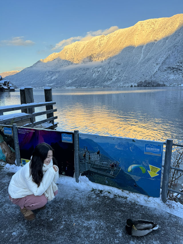 겨울왕국 좋아하는사람이라면 꼭 들러야하는곳❄️