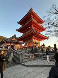 Kyoto 🇯🇵: Temples, Culture, Historical and Timeless