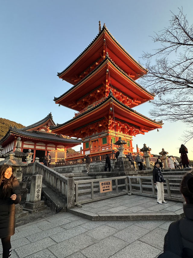 Kyoto 🇯🇵: Temples, Culture, Historical and Timeless