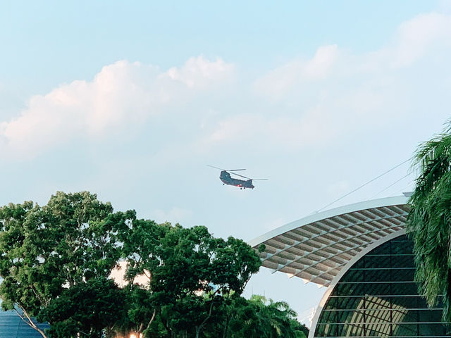 Singapore in Full Celebration Mode! 🇸🇬