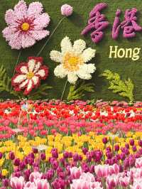 香港維園花展🌸鬱金香花海超美！