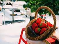 淡路島で楽しむフレッシュいちご体験！ 🍓