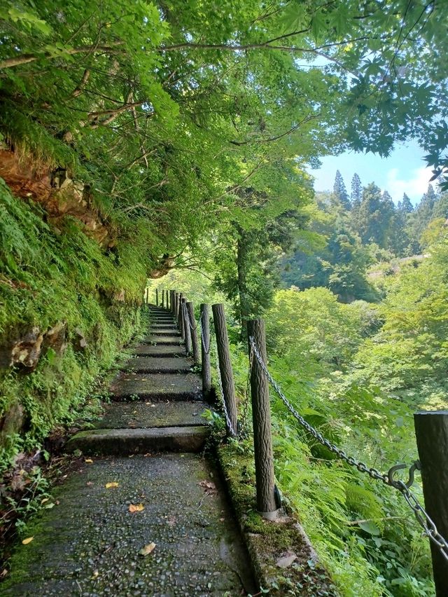 【白銀公園：山形県尾花沢市】自然いっぱい!!癒しの遊歩道✨
