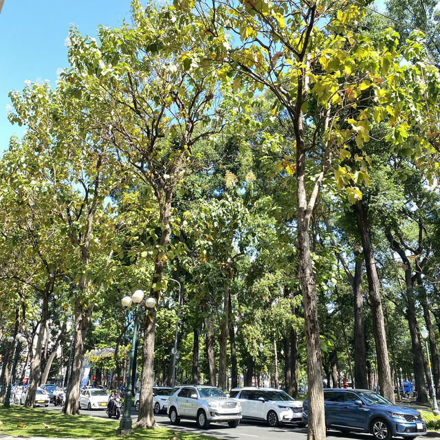 BEAUTY OF SAIGON