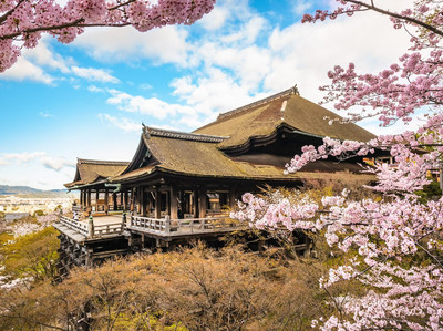 Chasing Sakura at Kiyomizu-dera Kyoto | Trip.com Kyoto