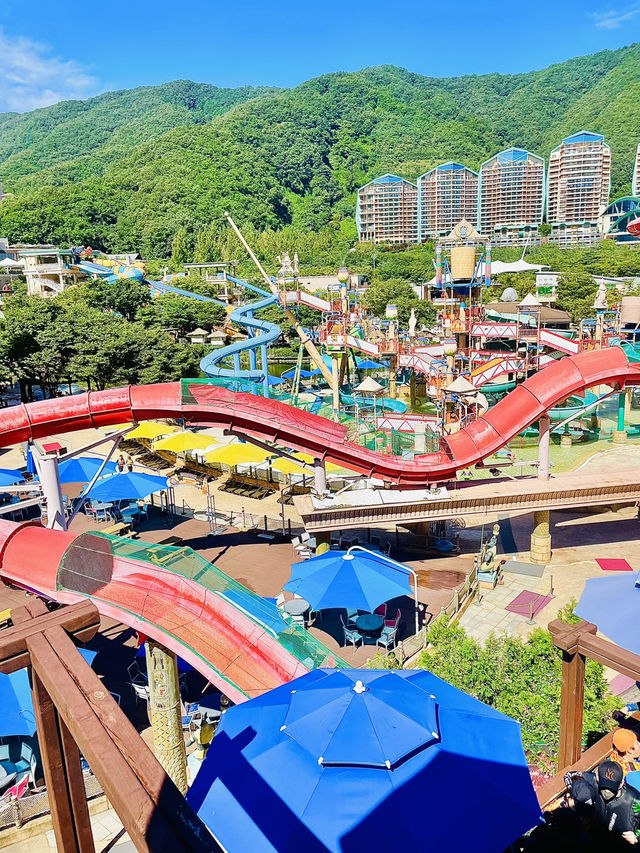 여름 필수 여행지 <오션월드> 💙