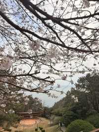 釜山｜迎月路粉色浪漫散步道 臥牛山的浪漫故事