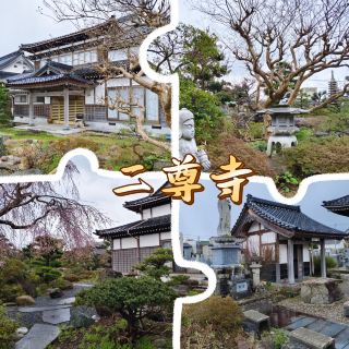 Nisonji Temple: Serene Zen Atmosphere