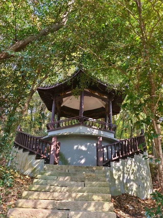 Yangming Park: A Scenic Stroll with a View