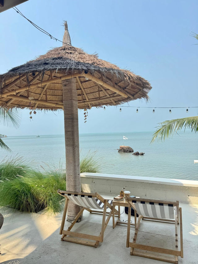 maew lay - แมวเล cafe & farm🌊☘️😸
