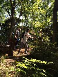 【鎌倉アルプス:北鎌倉・山之内・今泉の秘境から二階堂まで。散在ヶ池公園・陰陽滝・天園ハイキングコース 】