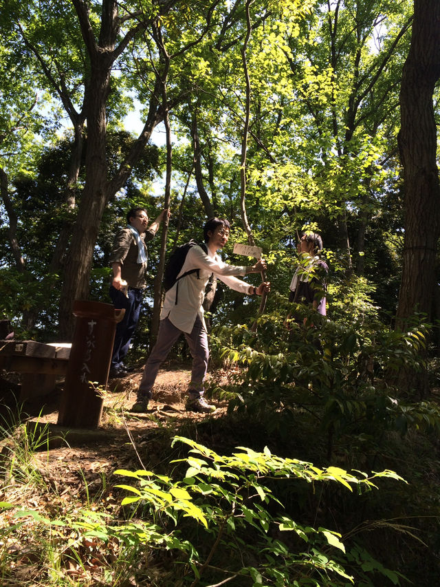 【鎌倉アルプス:北鎌倉・山之内・今泉の秘境から二階堂まで。散在ヶ池公園・陰陽滝・天園ハイキングコース 】