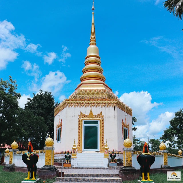  วัดกิตติราชเจริญศรี
